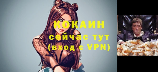 крисы Армянск
