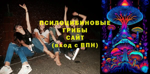 крисы Армянск