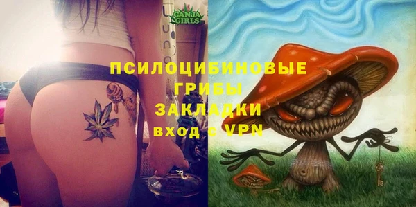 крисы Армянск